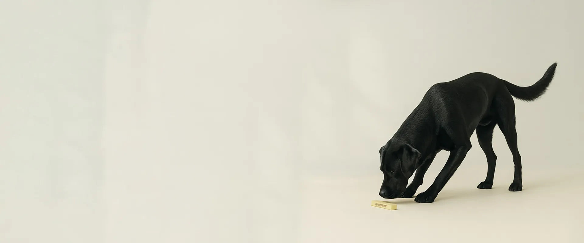 Equipment for Training Tracking