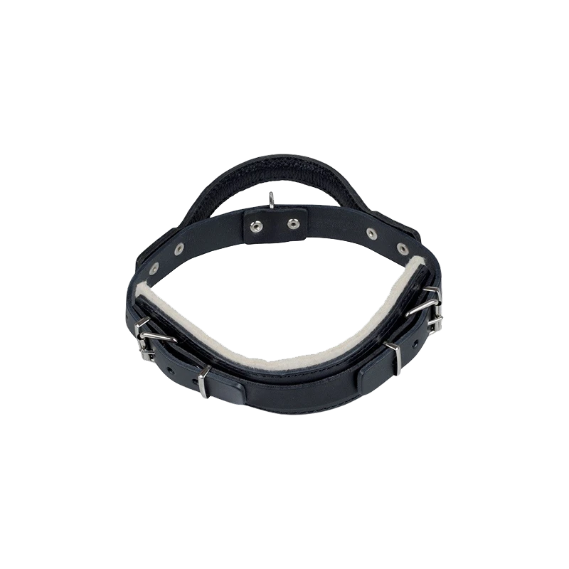 Leather collar with handle - large