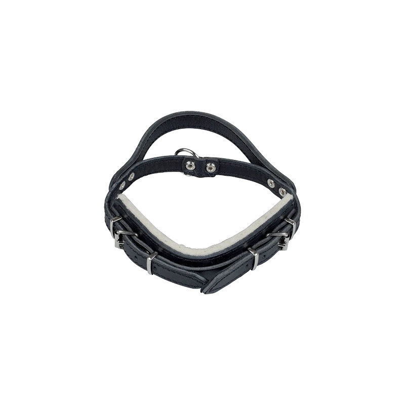 Leather collar with handle - medium