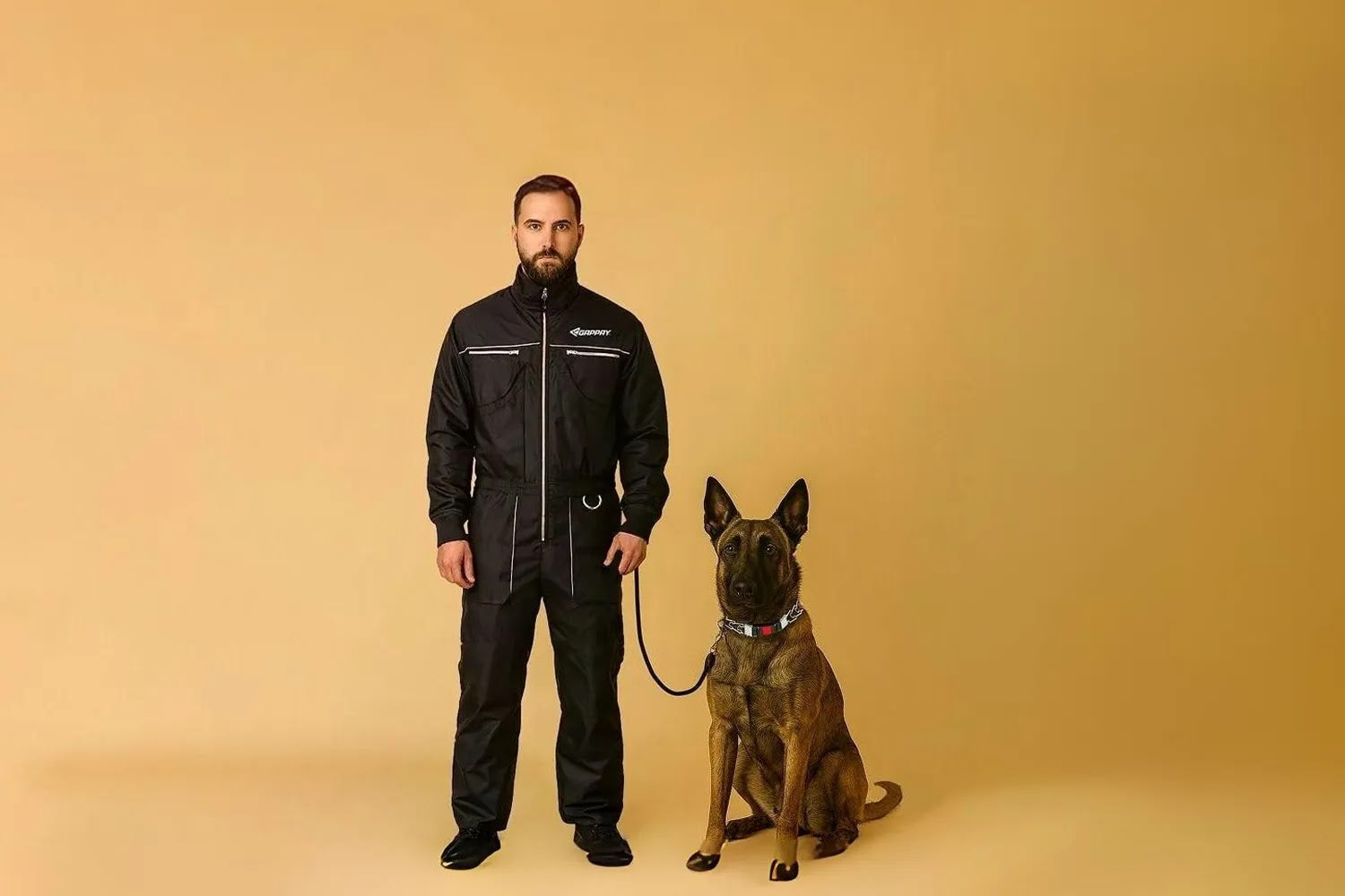 Leads, Collars and Harnesses